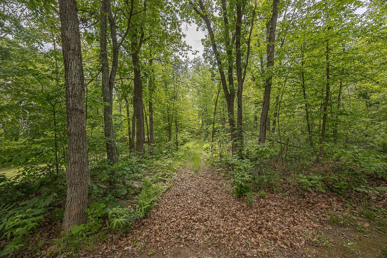 Trails