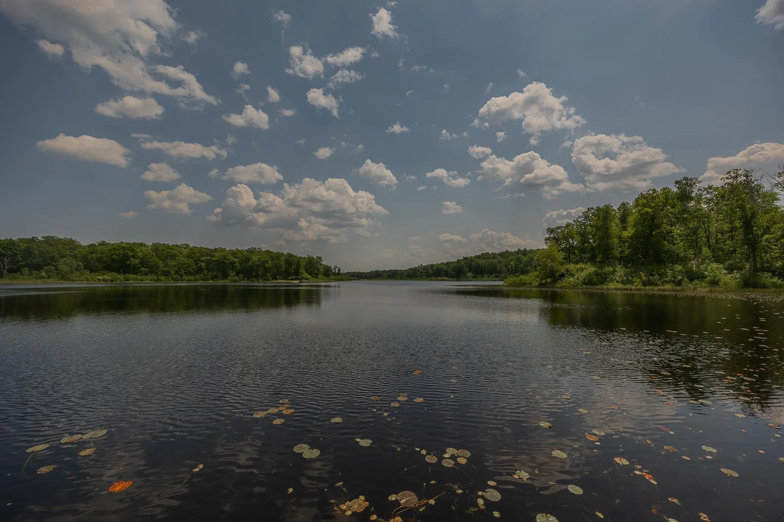 Little Turtle Lake