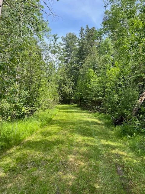 Nicely mowed yard