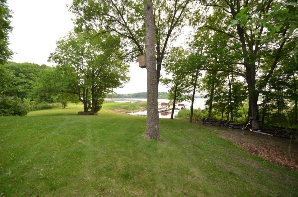 Lovely park like yard