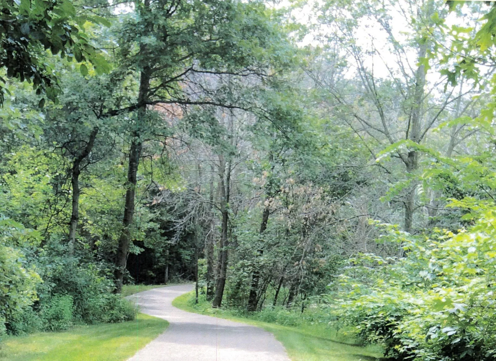 Woodland Preserve has fantastic walking trails right in the neighborhood