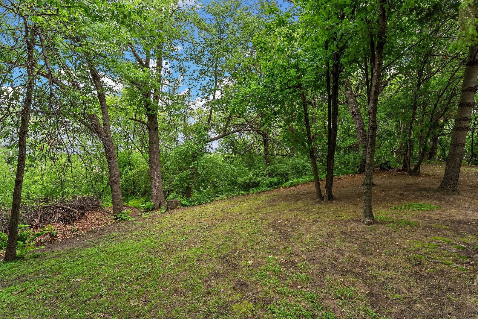 Site by Lake Baldwin