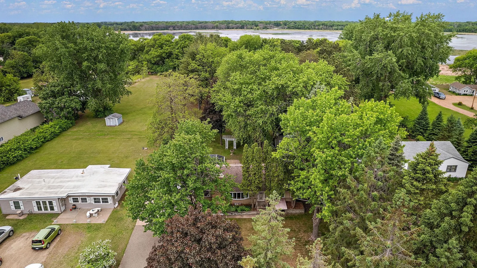 Site Canopy Trees
