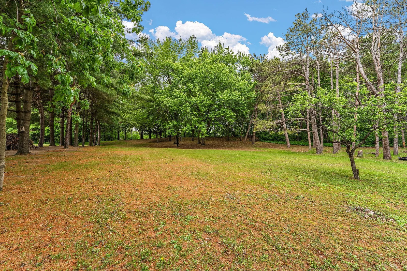 Lot in Great Condition
