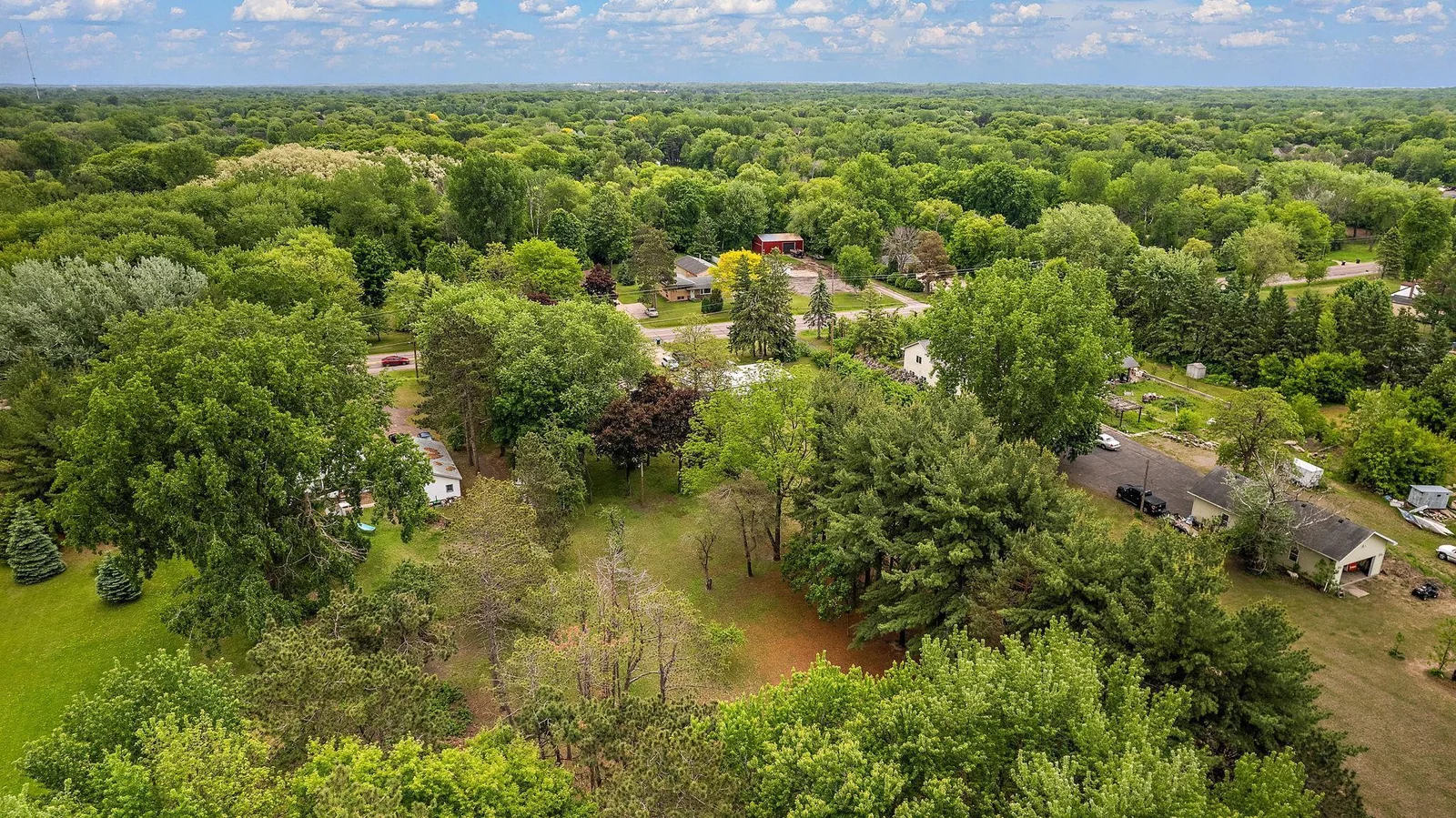 Lot with Fully Grown Trees