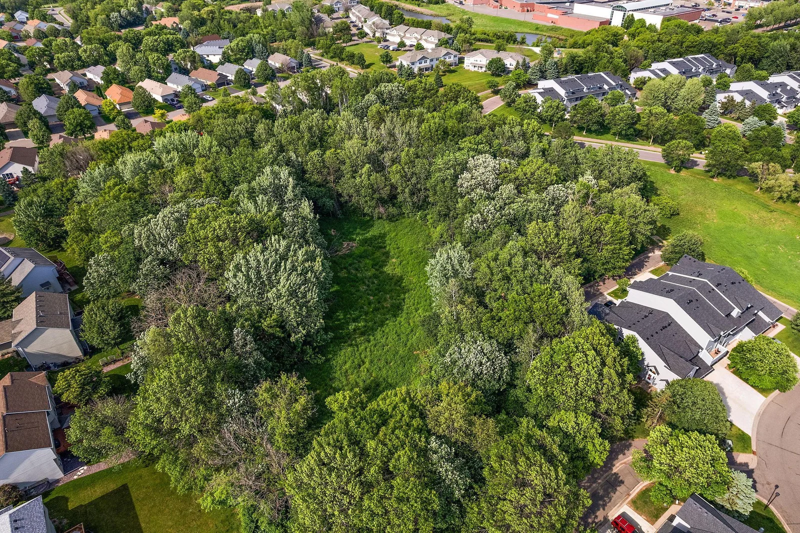 3-web-or-mls-DJI_0077.jpg
