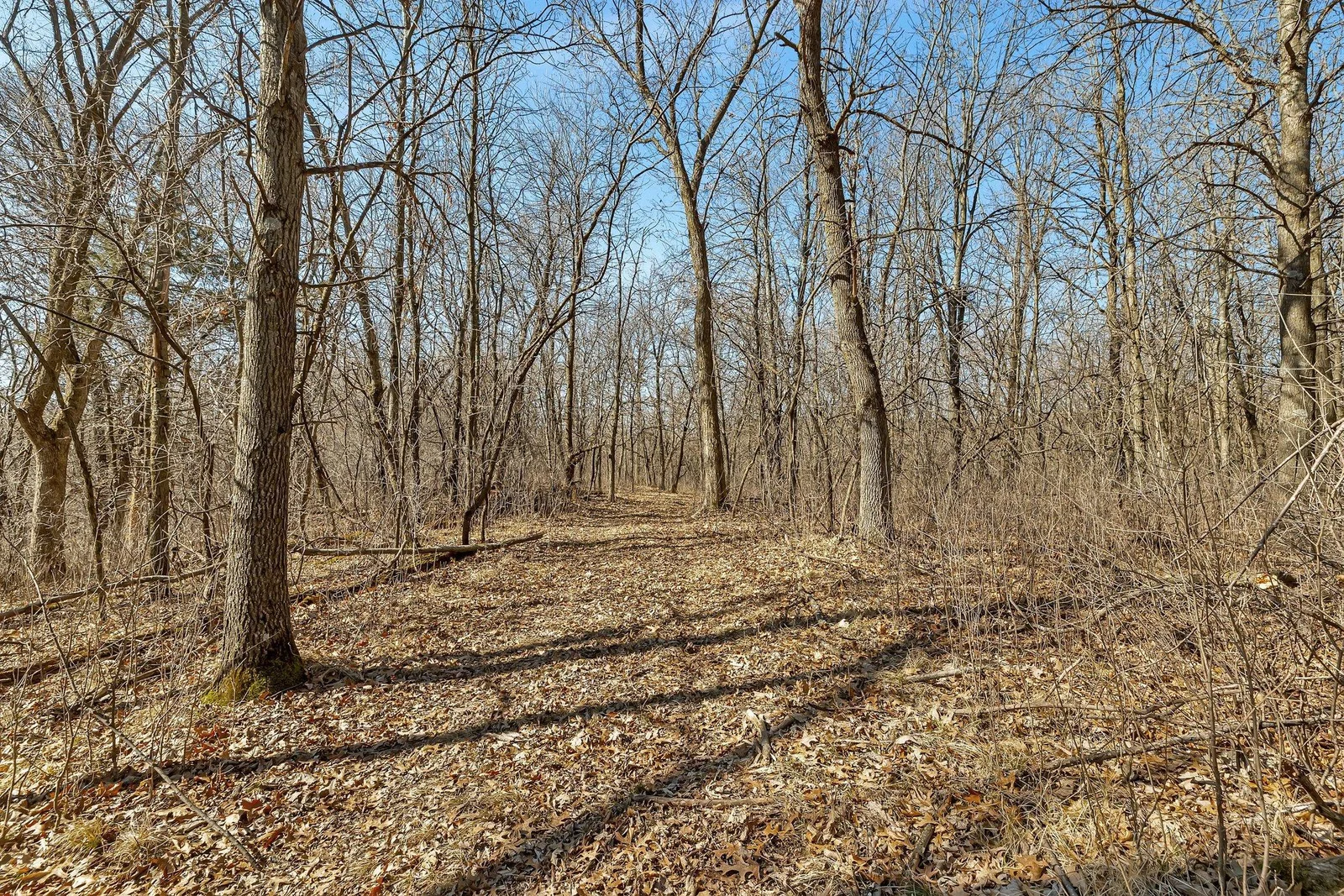 B02I2485.jpg
