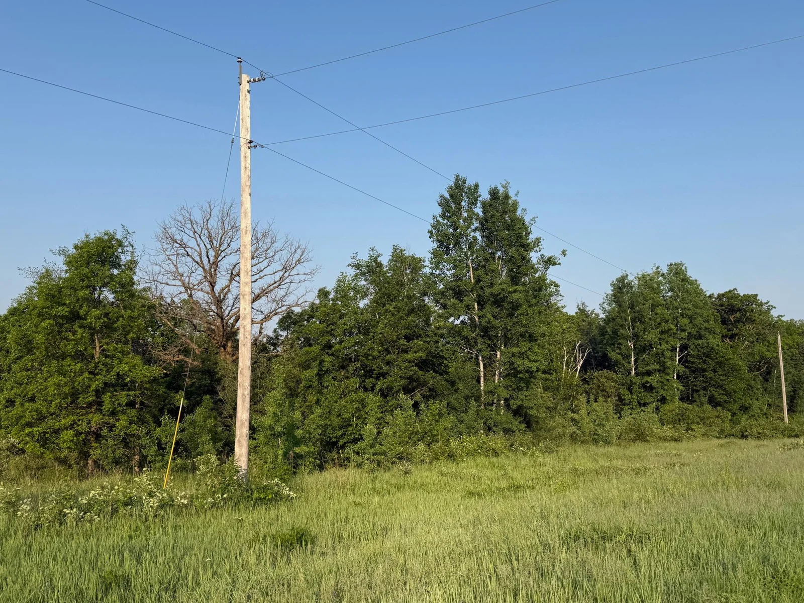 Power and city utilities on the edge of the property.jpg