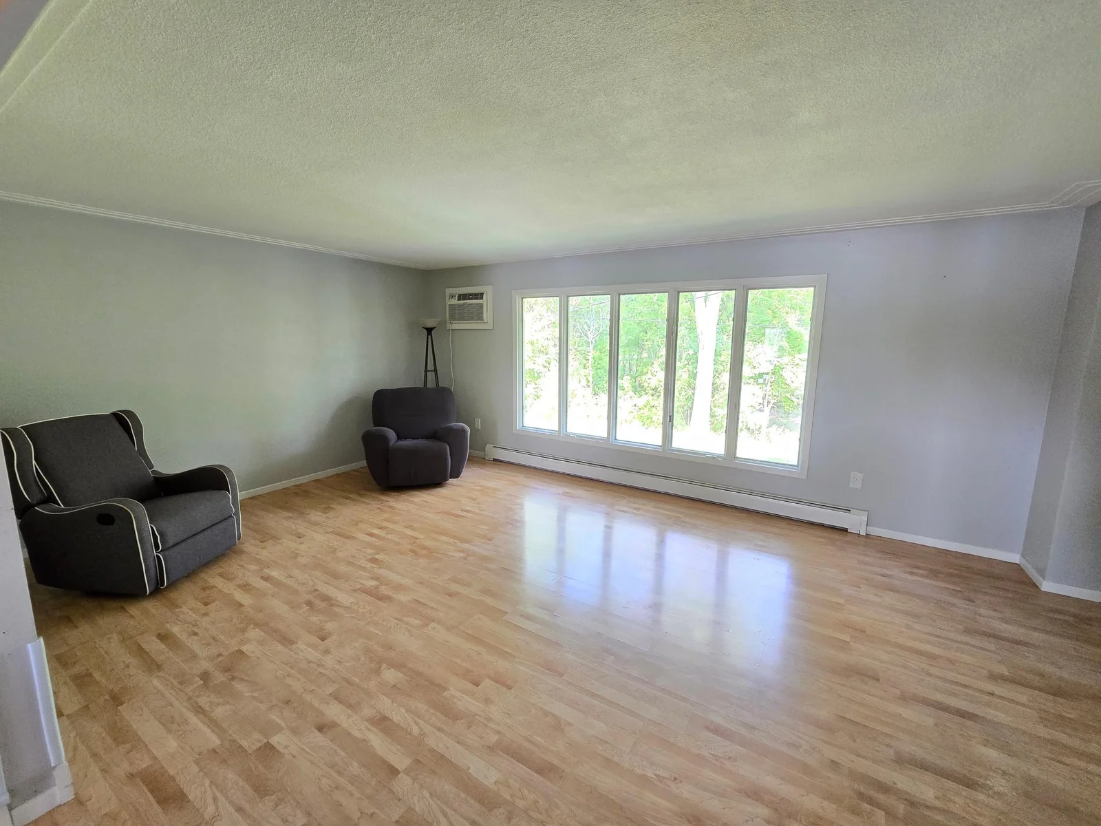 Large living room with plenty of light!