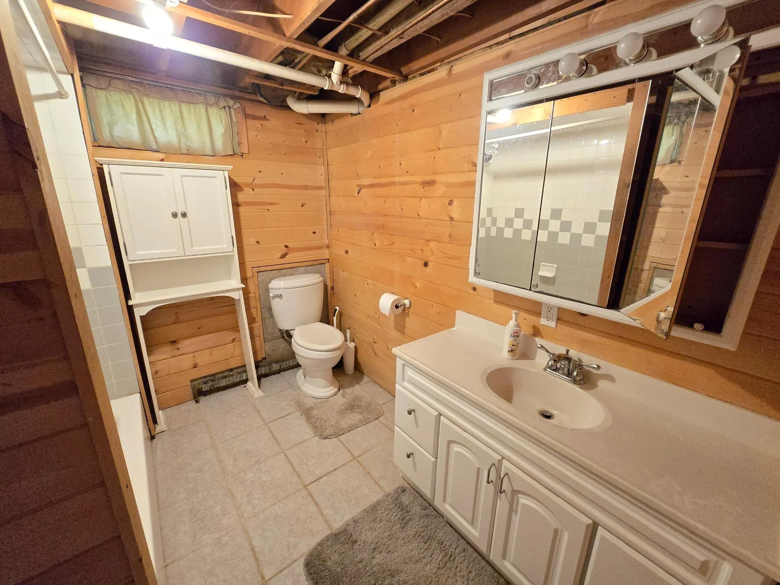 Lower level full bath.