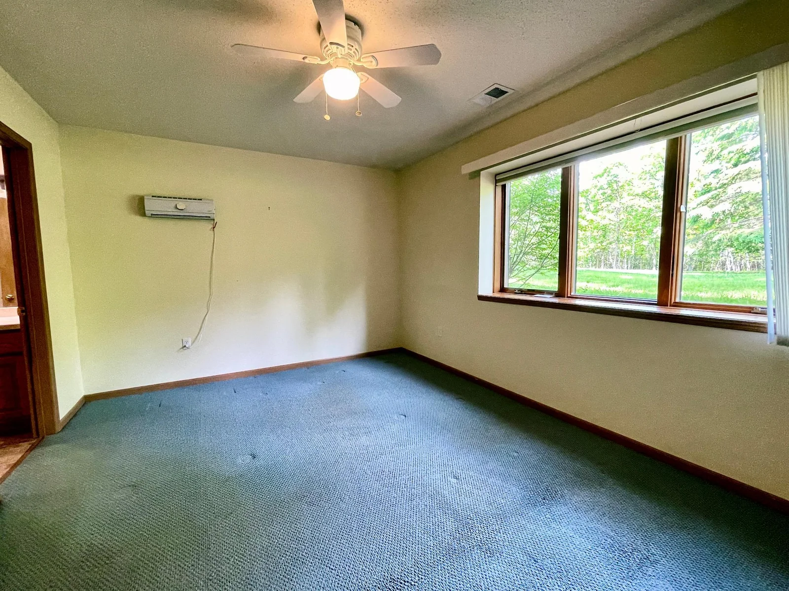 Lower Level Bedroom 2.jpeg