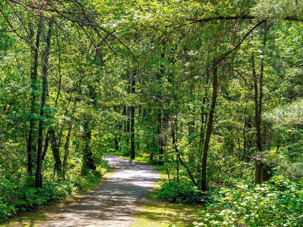 Long tree-lined asphalt driveway