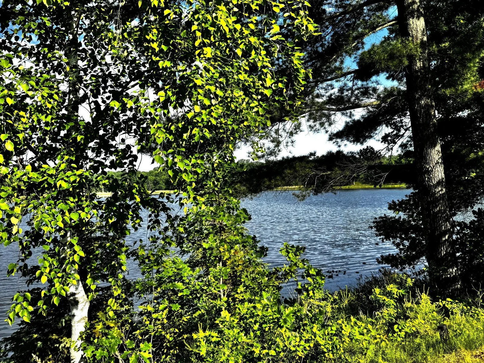 Thumbnail photo 8