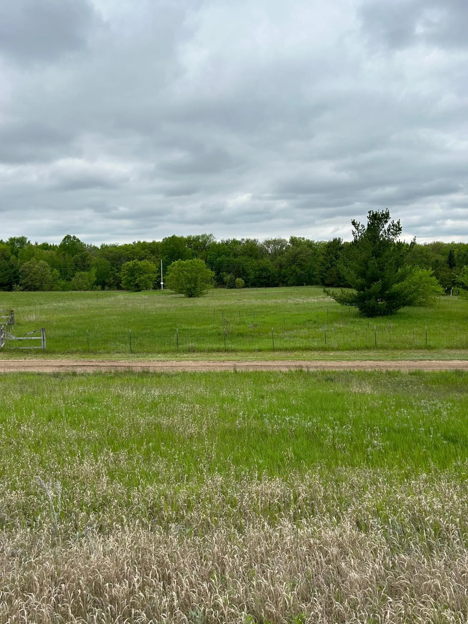 image7 (2).jpeg