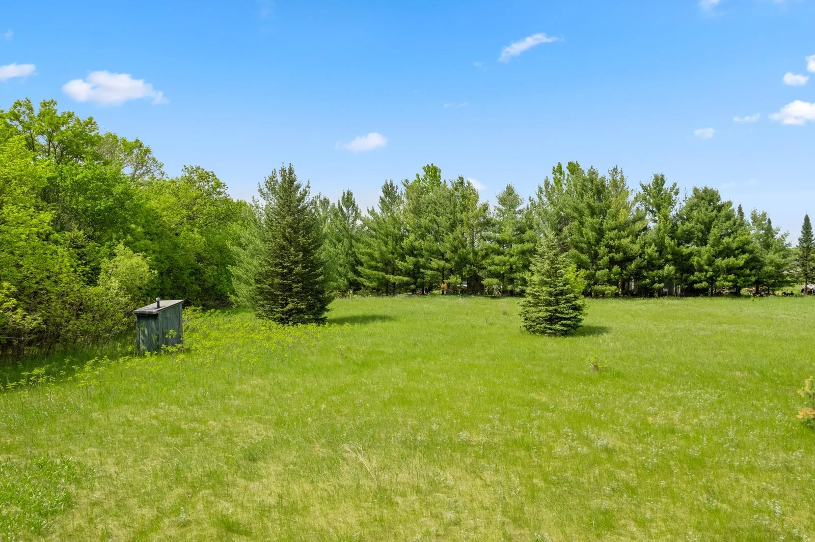 DJI_0183.jpg