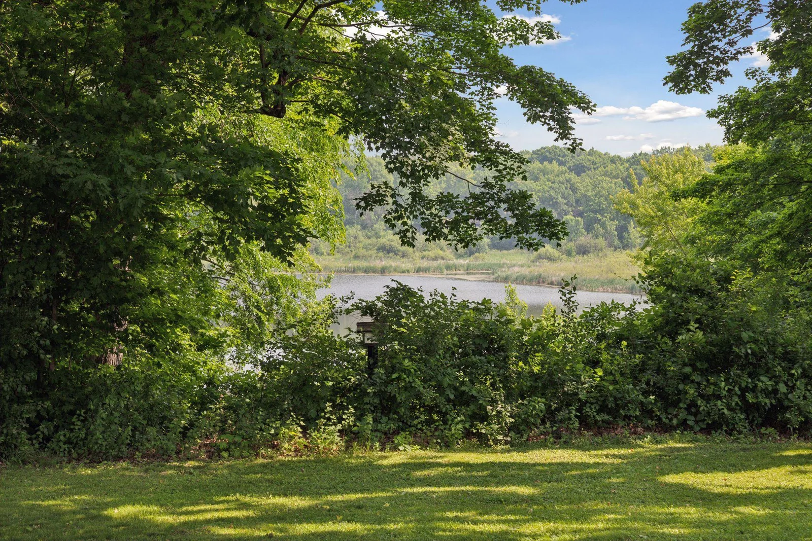Views of School Lake