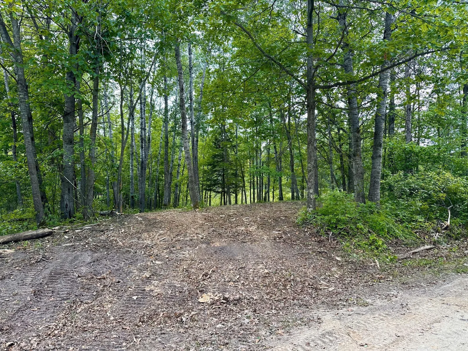 Thumbnail photo 6