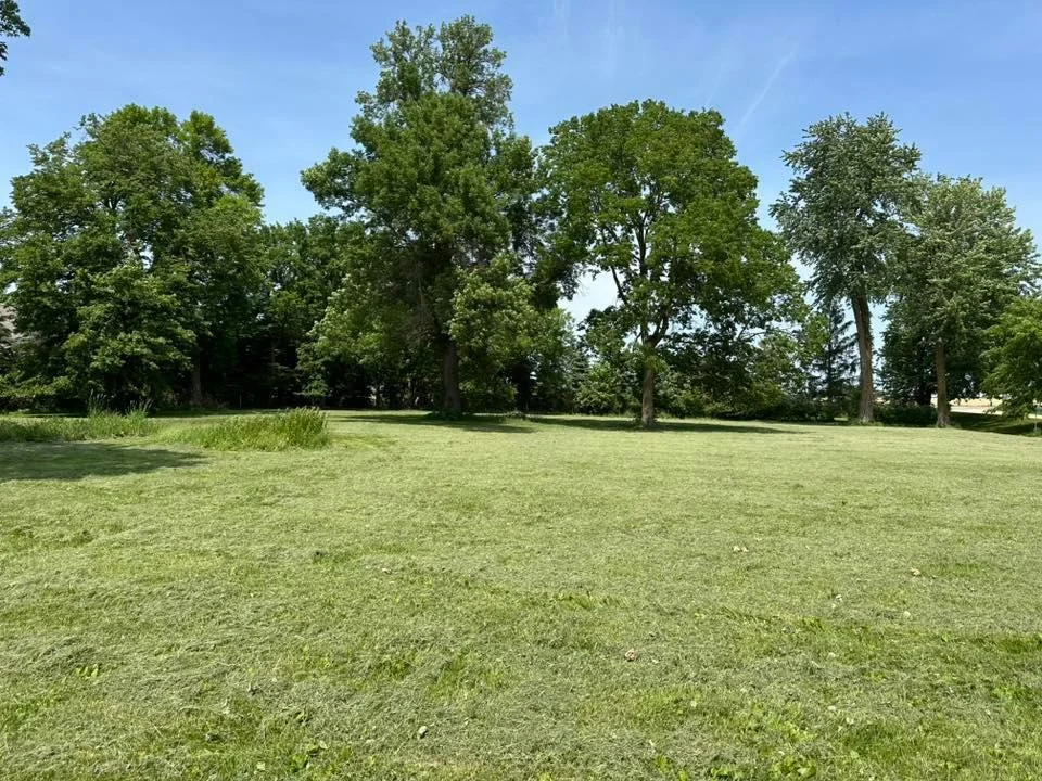 Thumbnail photo 5