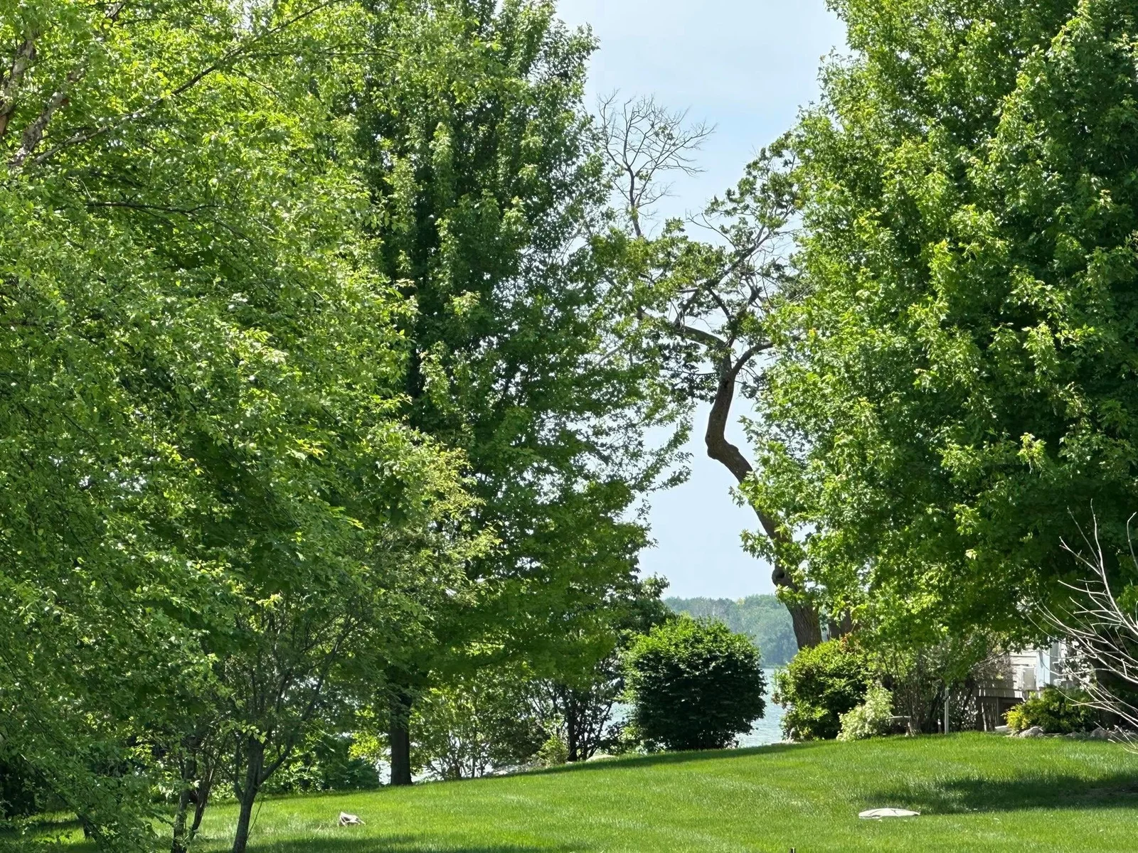 Thumbnail photo 3