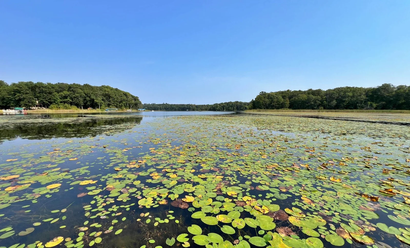 Crooked Lake at shore.jpg