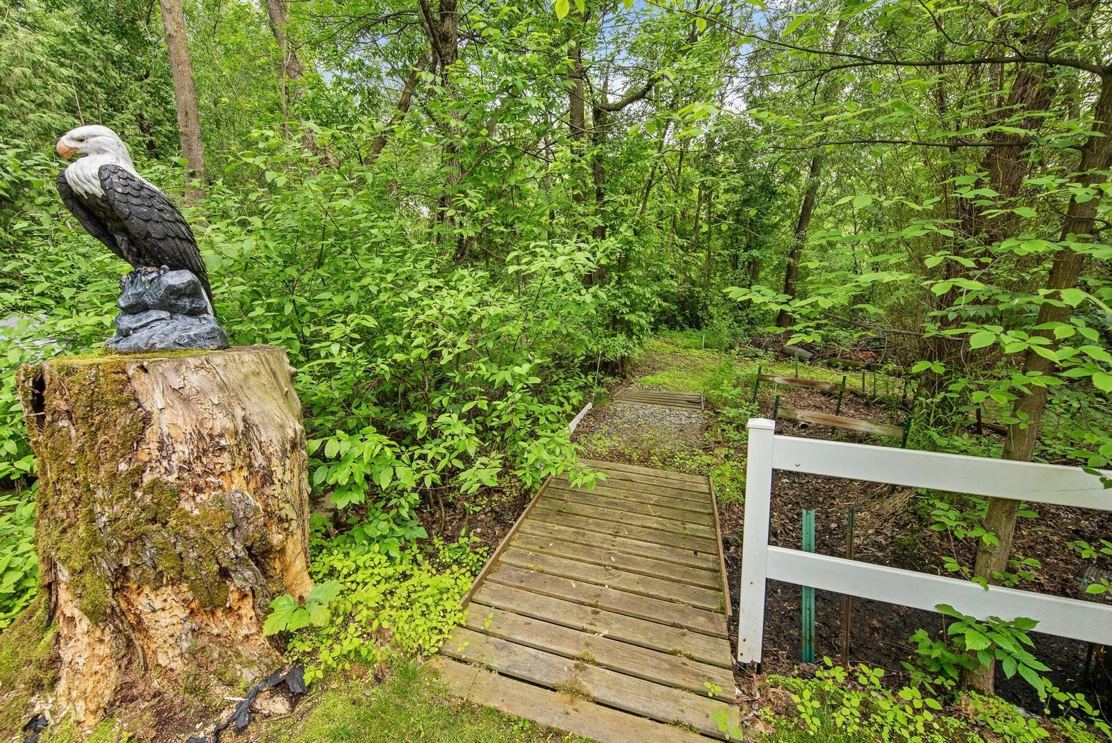 Also- while you are here, make sure to check out the groomed trails through the trees leading down to the lake.