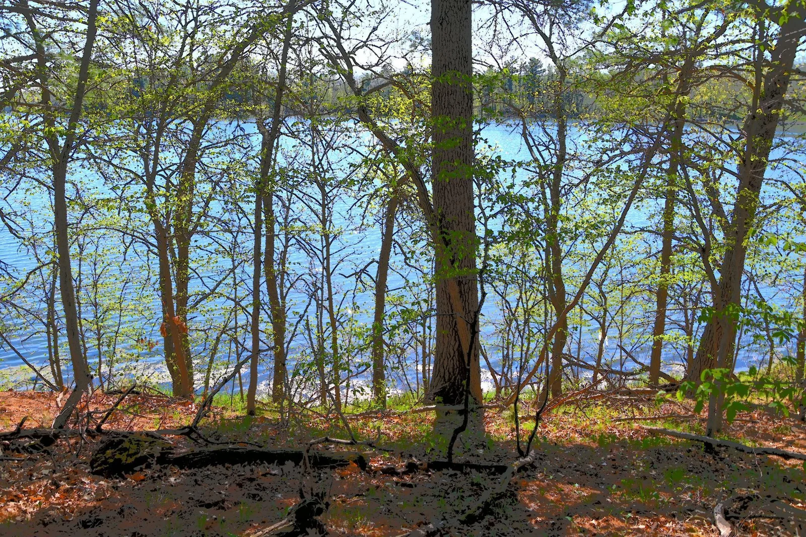 Photo 1 of 40039 County Rd 17