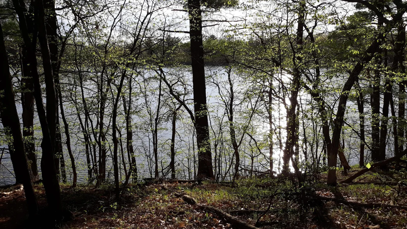 Thumbnail photo 27