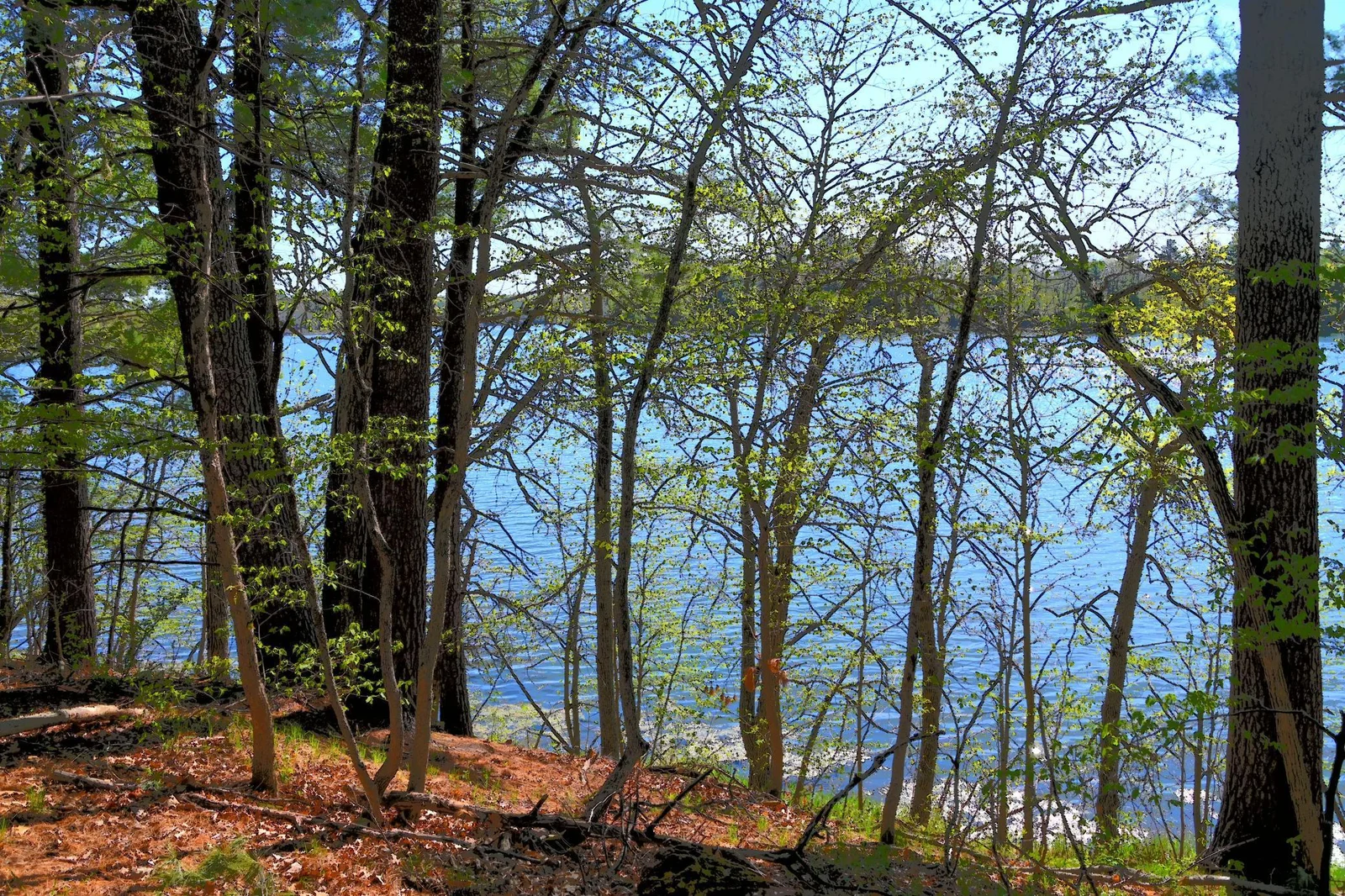 DSC_7980.JPG
