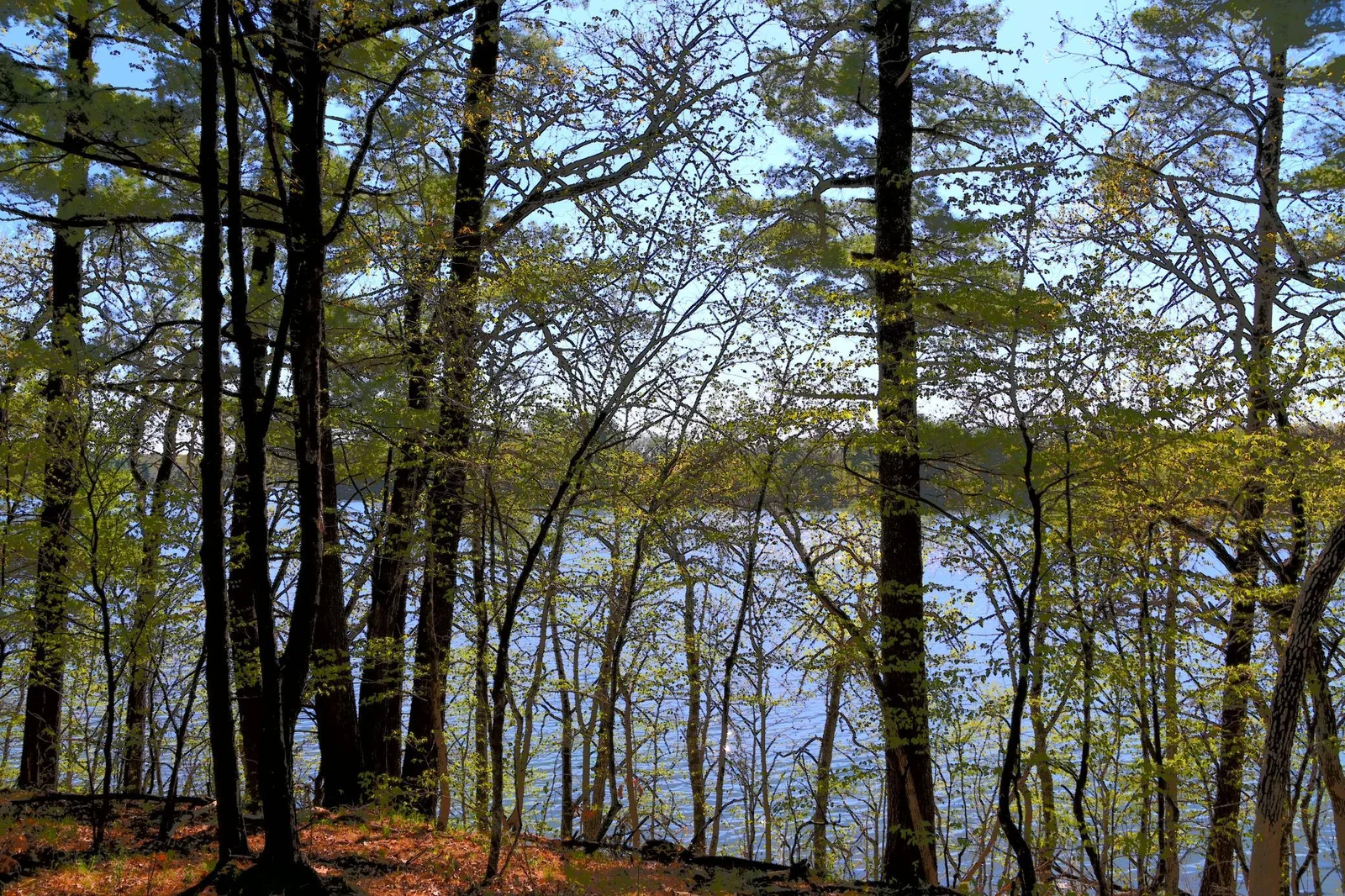 DSC_7975.JPG