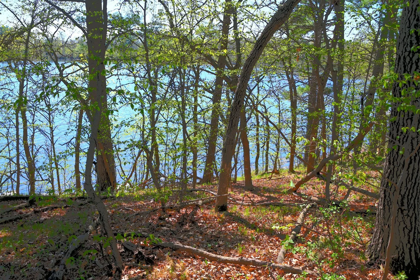 DSC_7978.JPG