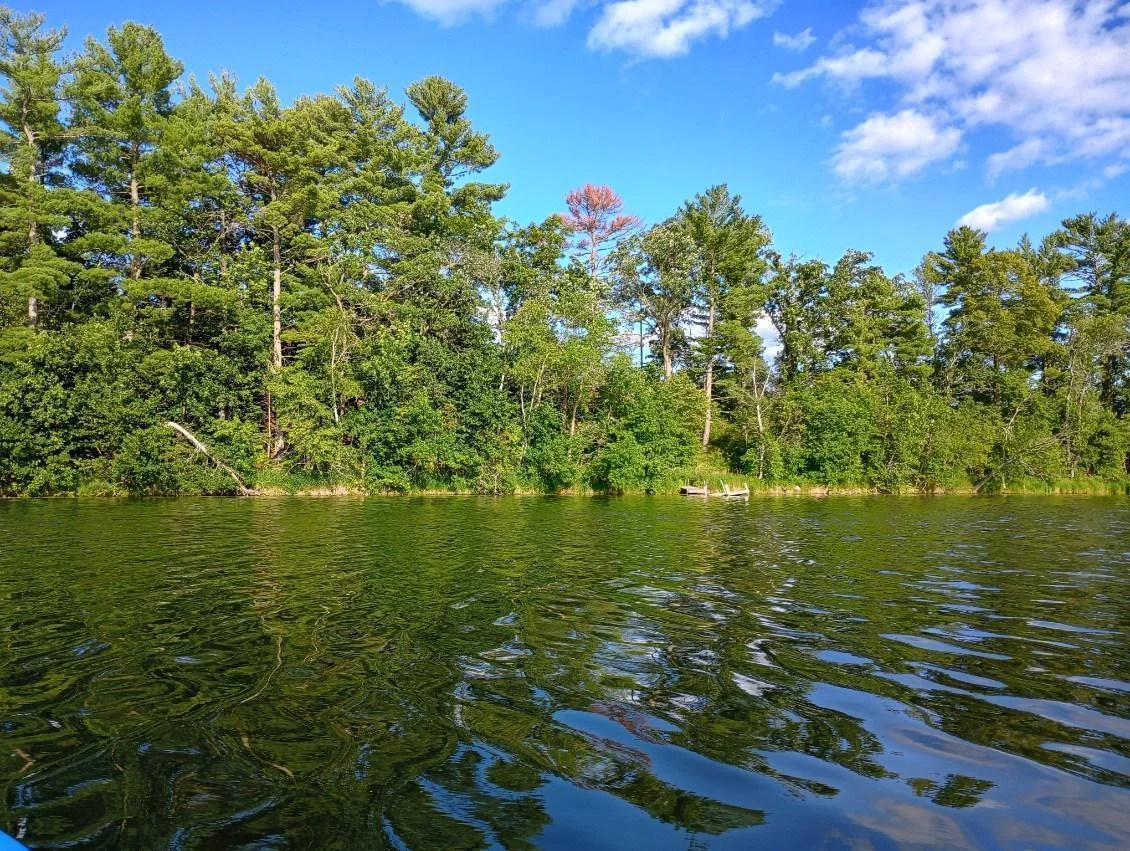 shoreline is to the left of dock