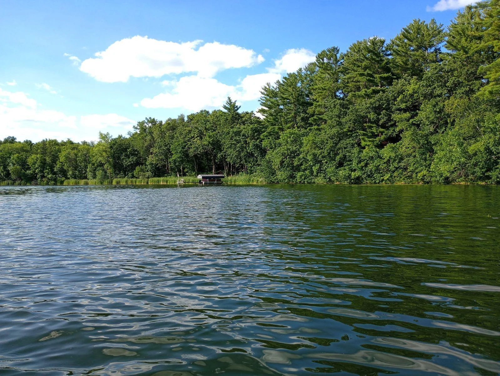 shoreline is to the right of dock