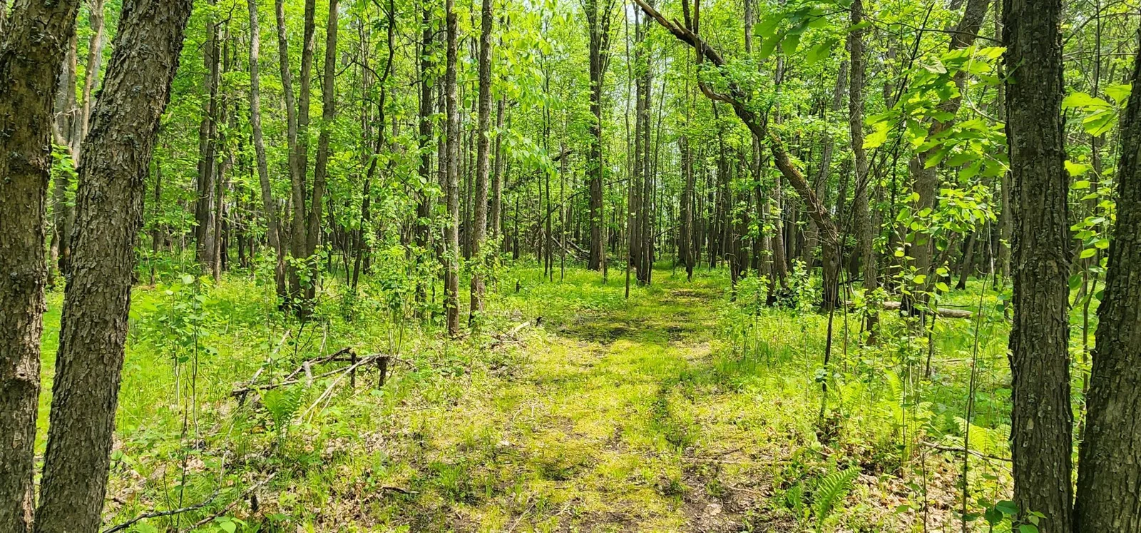River path