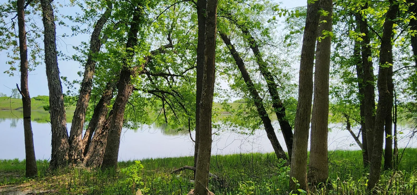 Thumbnail photo 38
