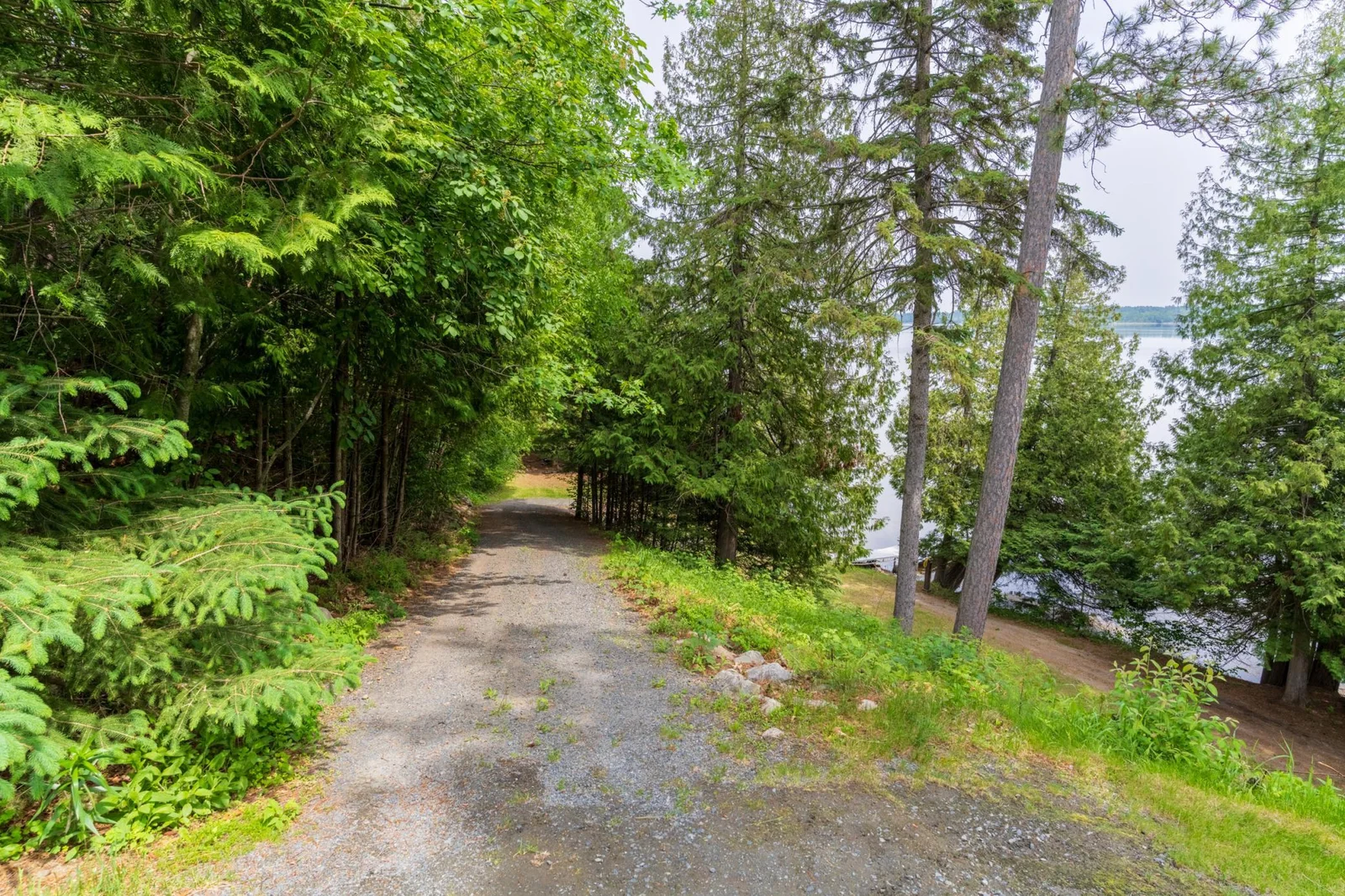 Path to Lake.jpg