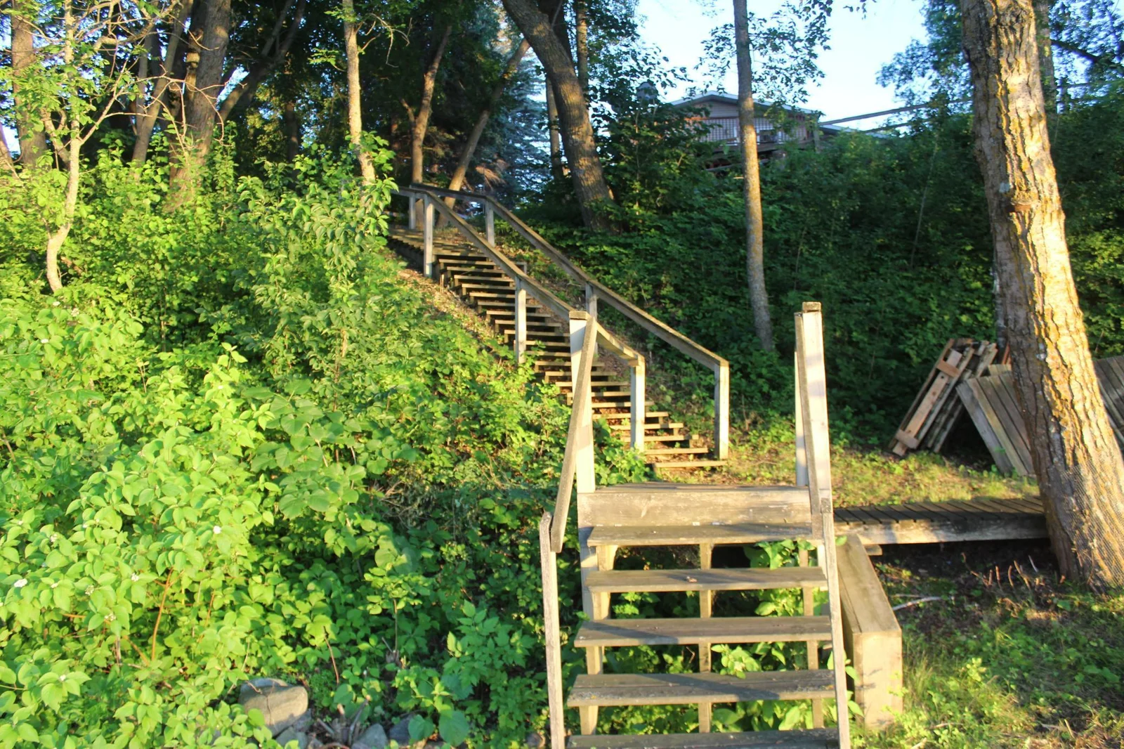 IMG_8876.JPG