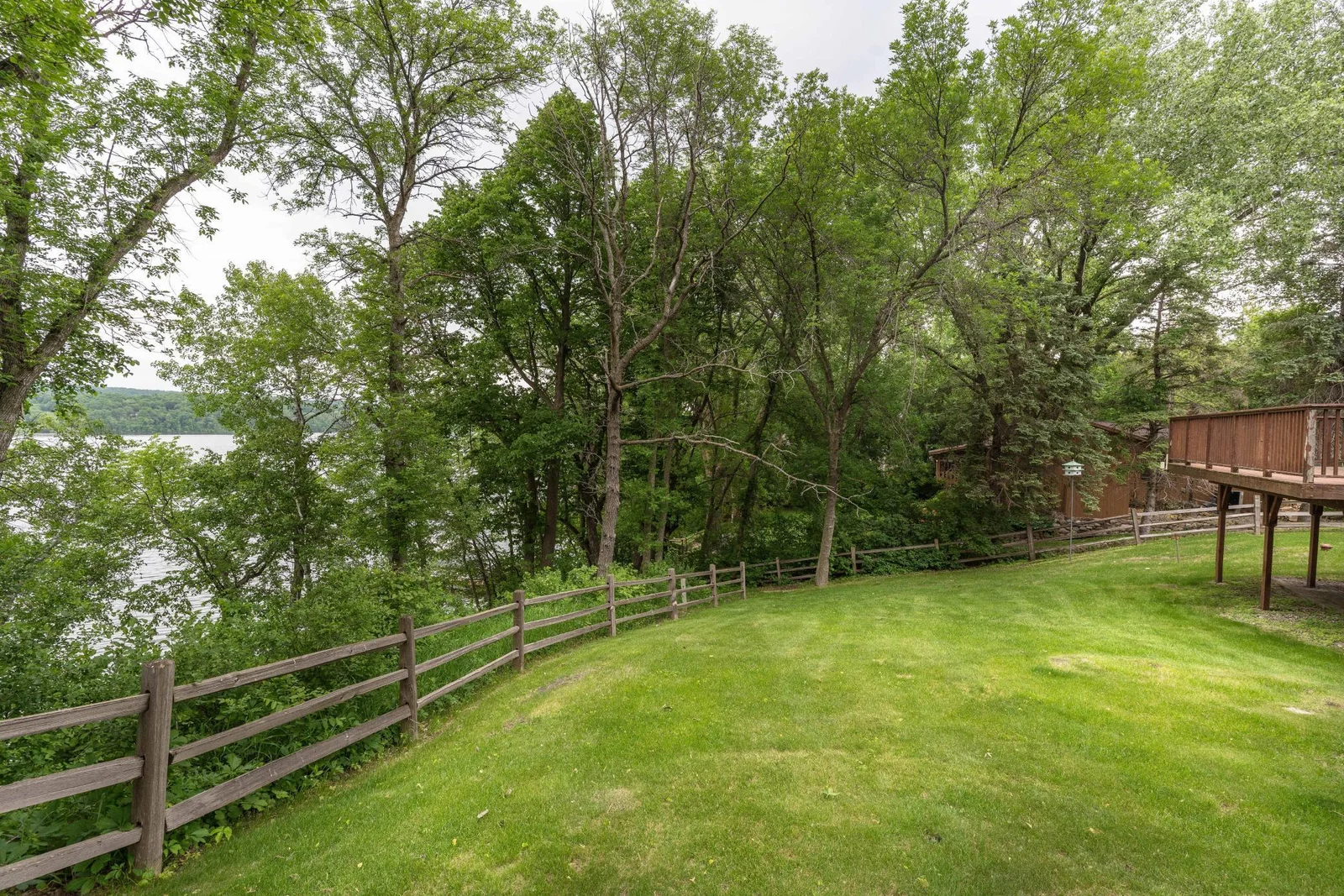 Back yard