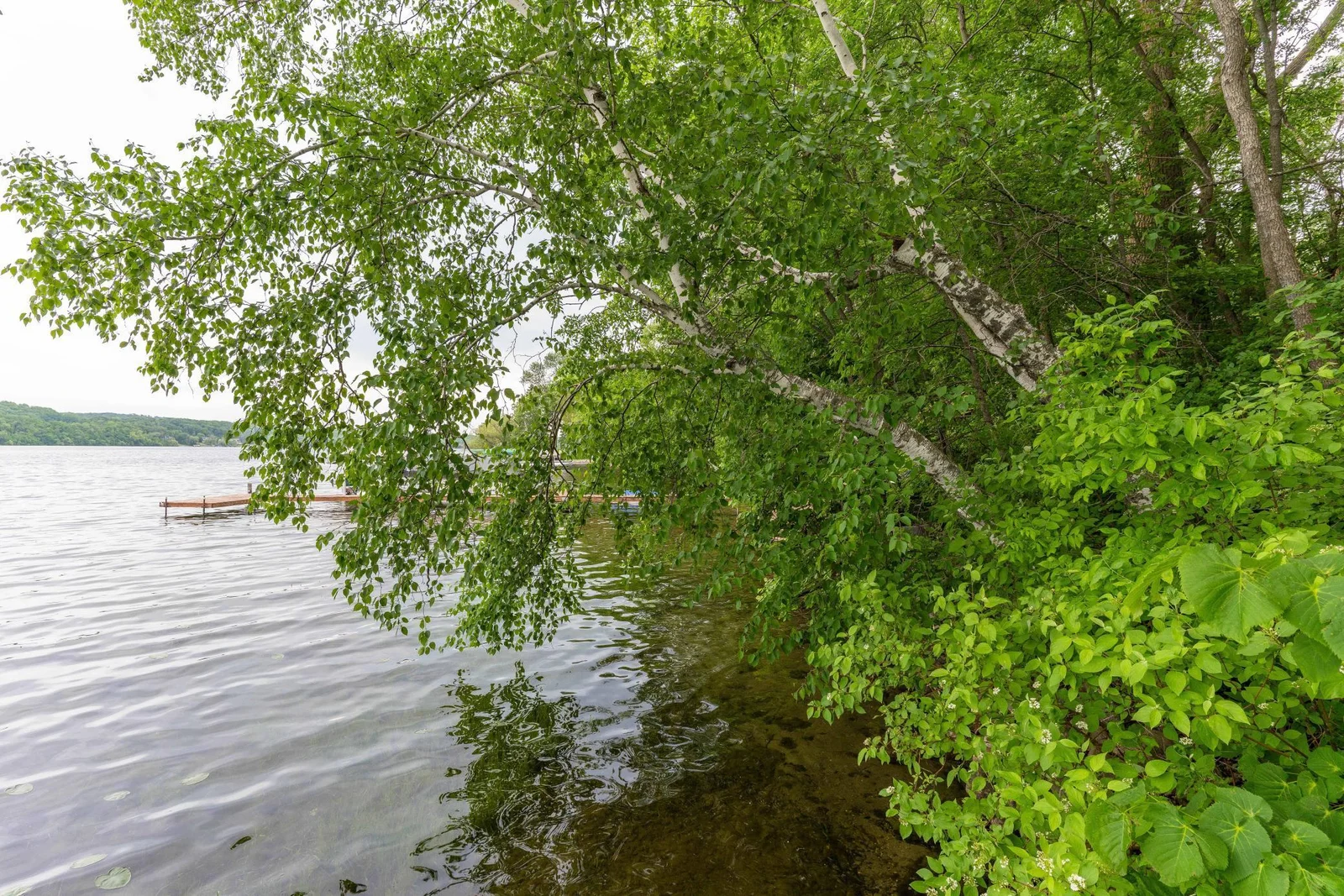 Long lake