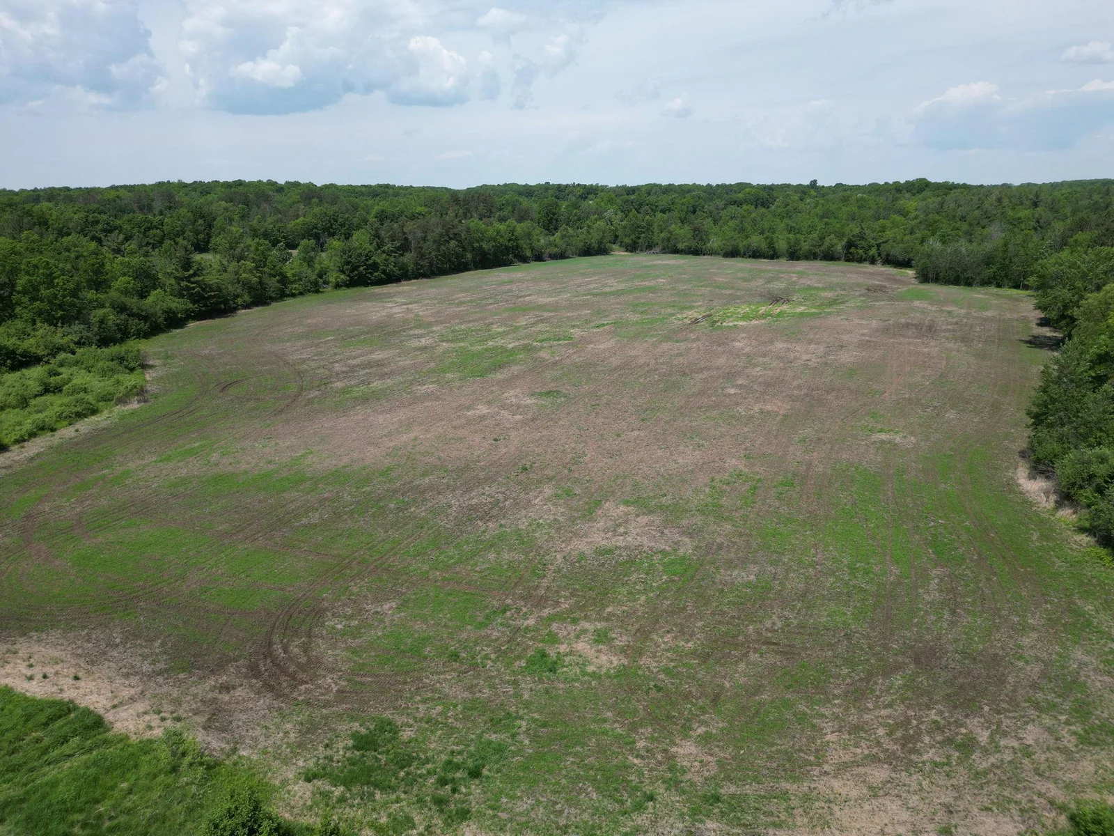 14-web-or-mls-DJI_0341.JPG