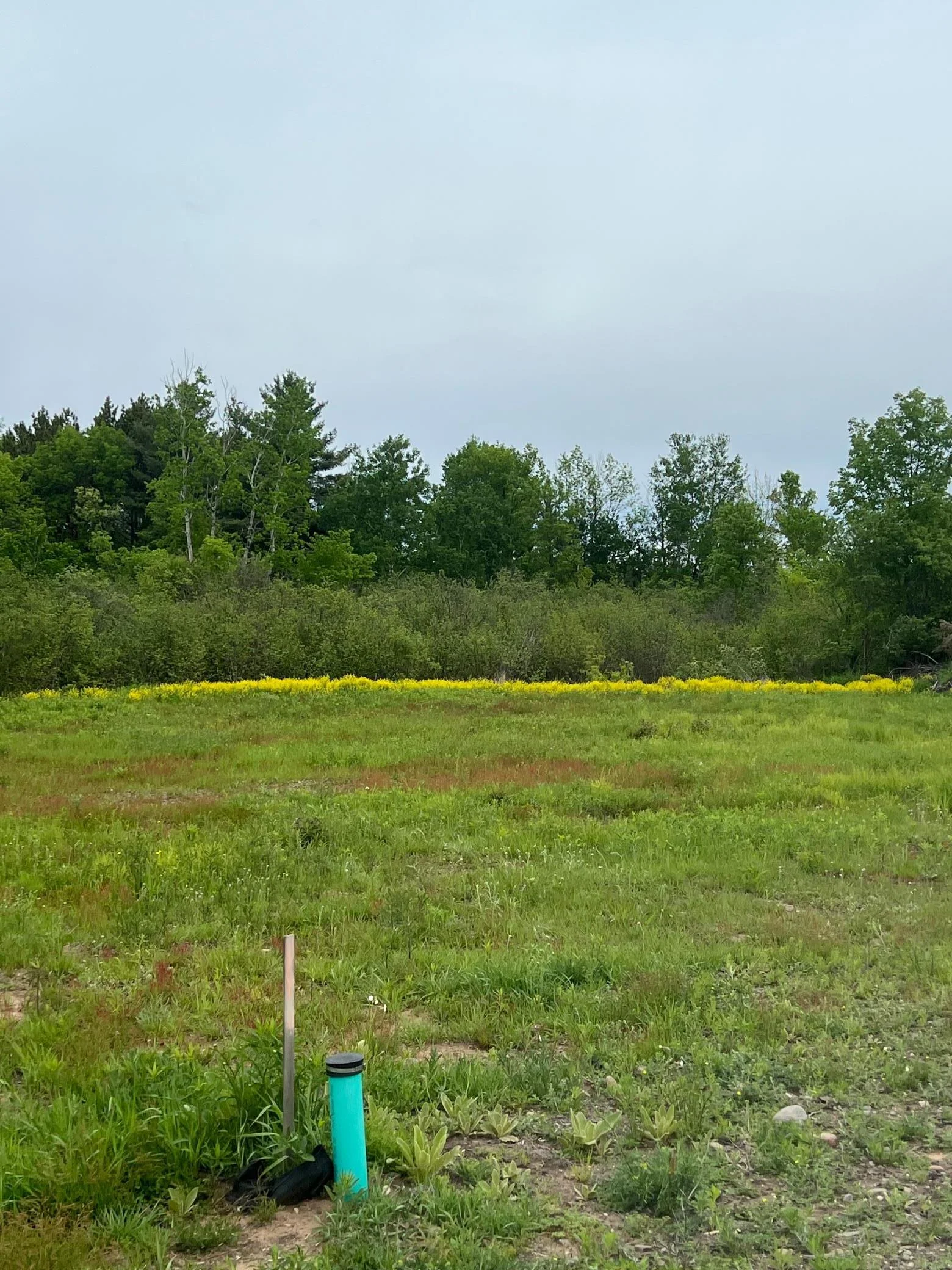 building site for home