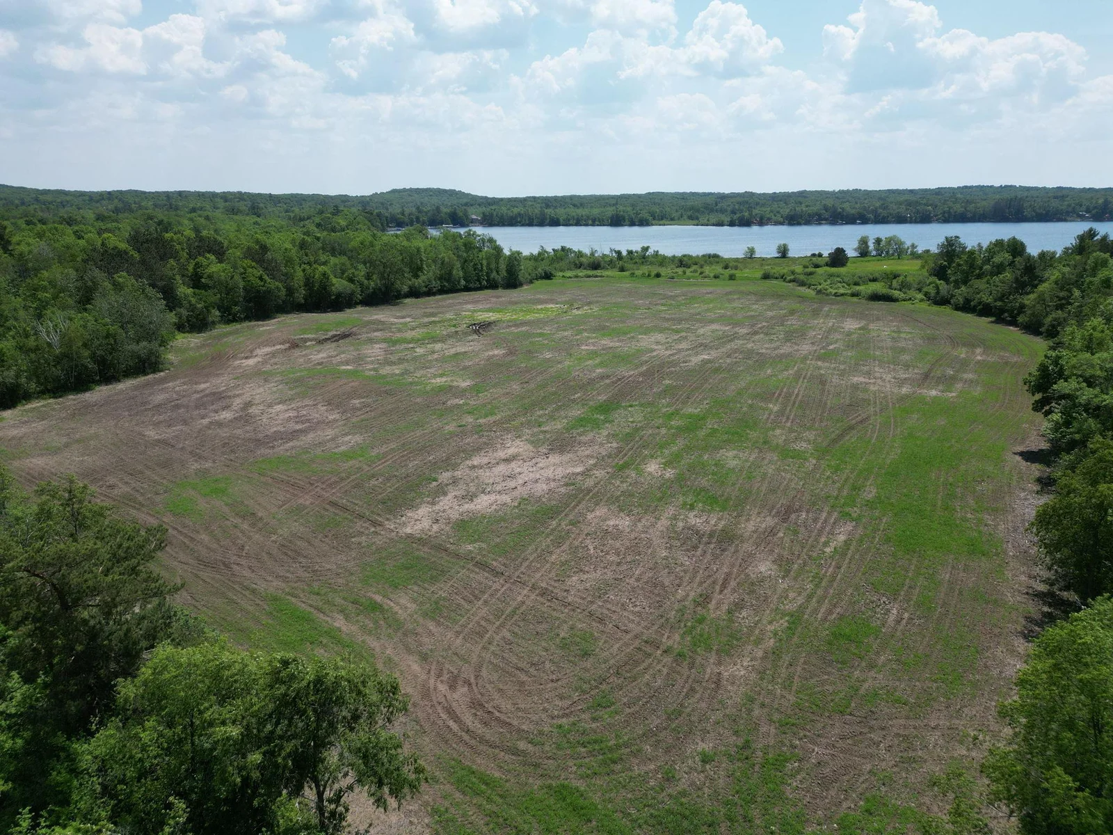 15-web-or-mls-DJI_0343.JPG