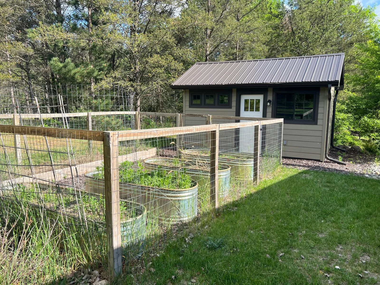 ANOTHER VIEW OF THE GARDEN SHED & ENCLOSED GARDEN.
