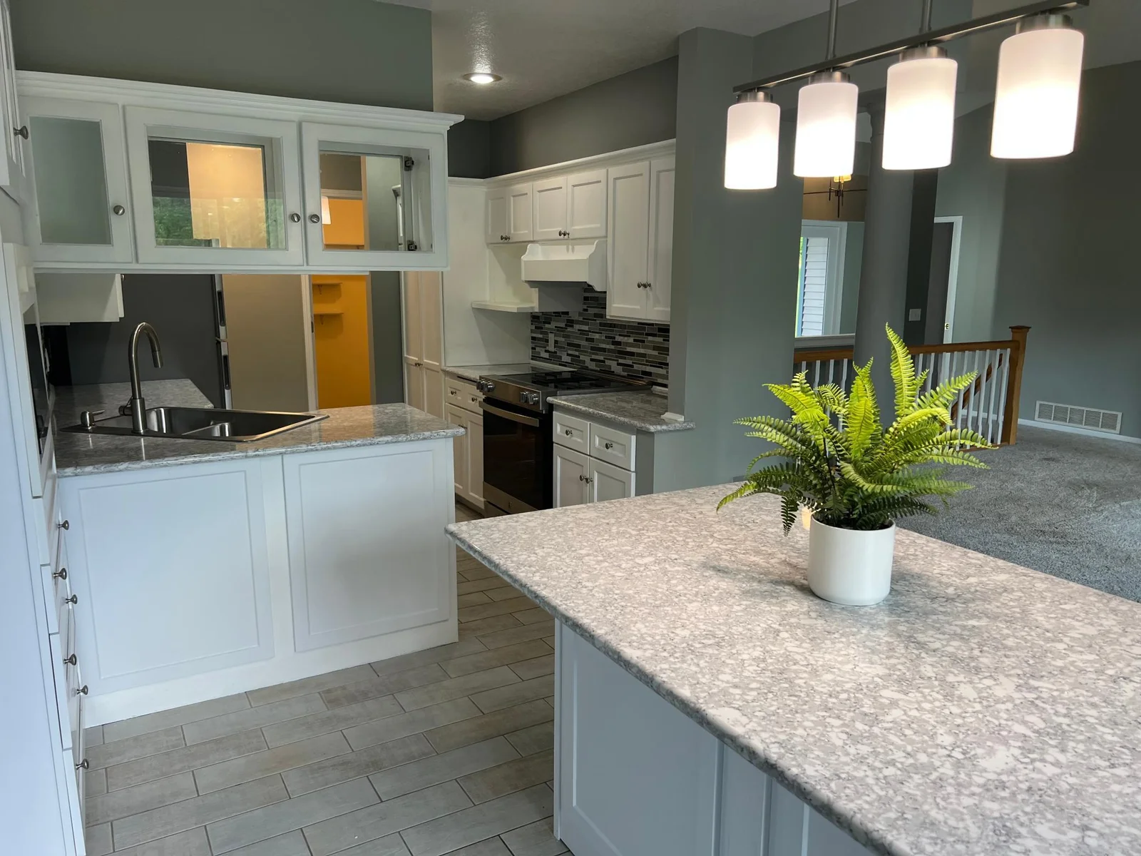 CONTINUING CLOCKWISE, ANOTHER VIEW OF THE WALK-IN PANTRY, A PANTRY CABINET, THE RANGE, AND UPPER AND LOWER CABINETS.