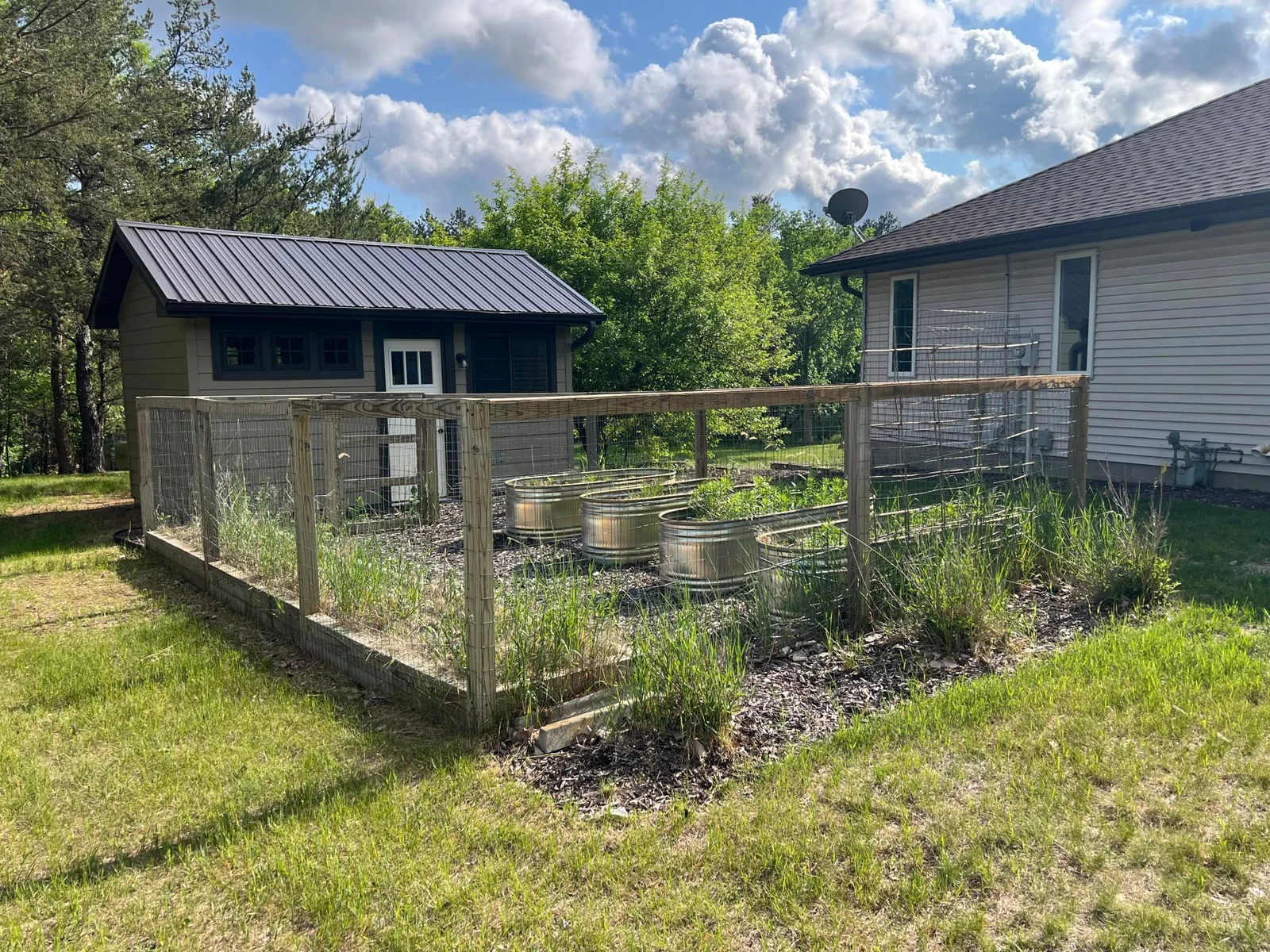 THE GARDEN SHED AND ENCLOSED RAISED GARDEN BEDS.