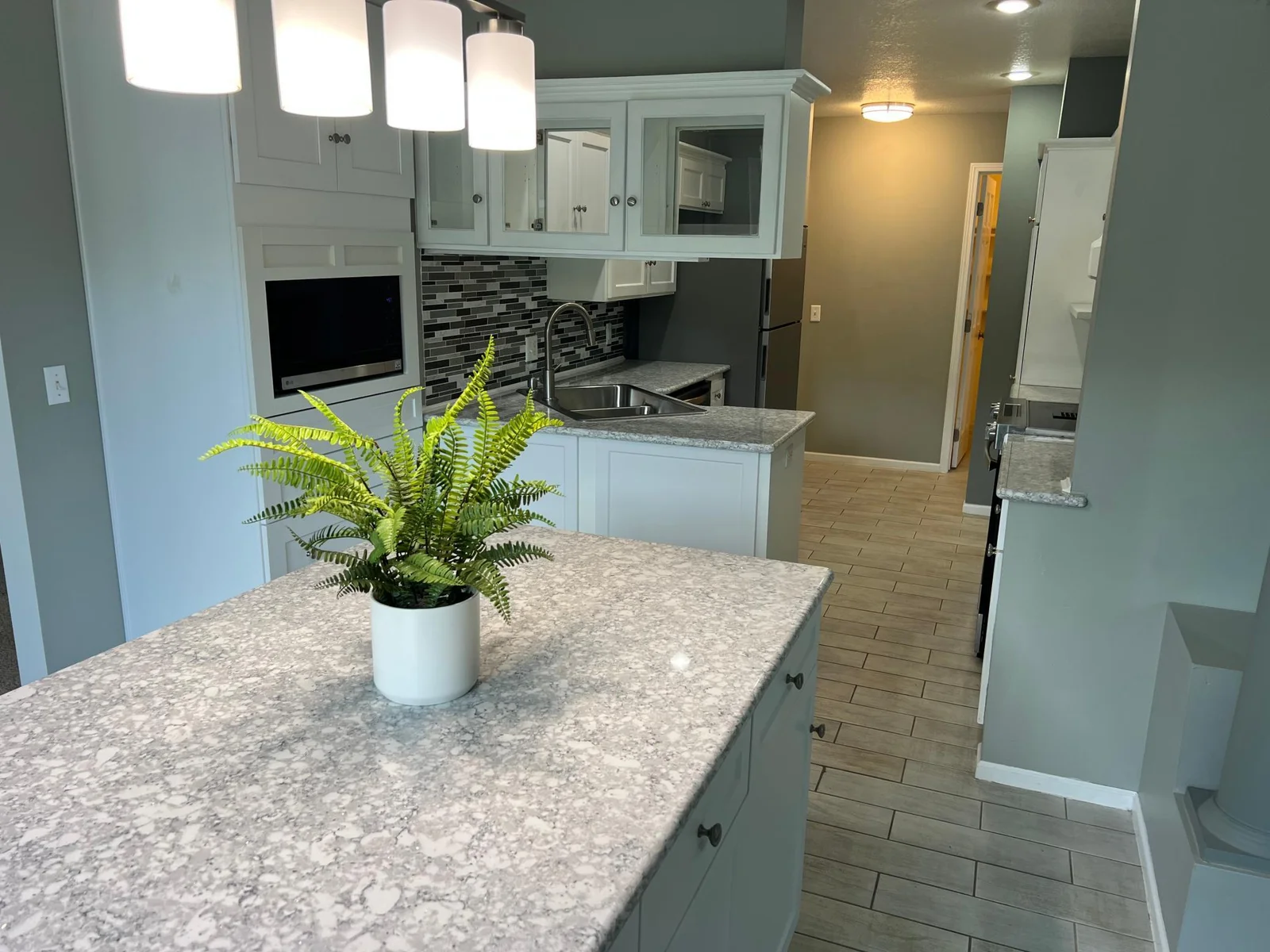 CONTINUING FROM SINK ELEVATION, AT RIGHT ON THE BACK WALL IS THE WALK-IN PANTRY.