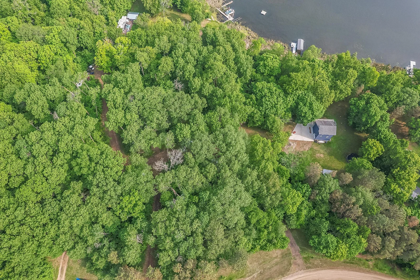 Drone1_91.jpg