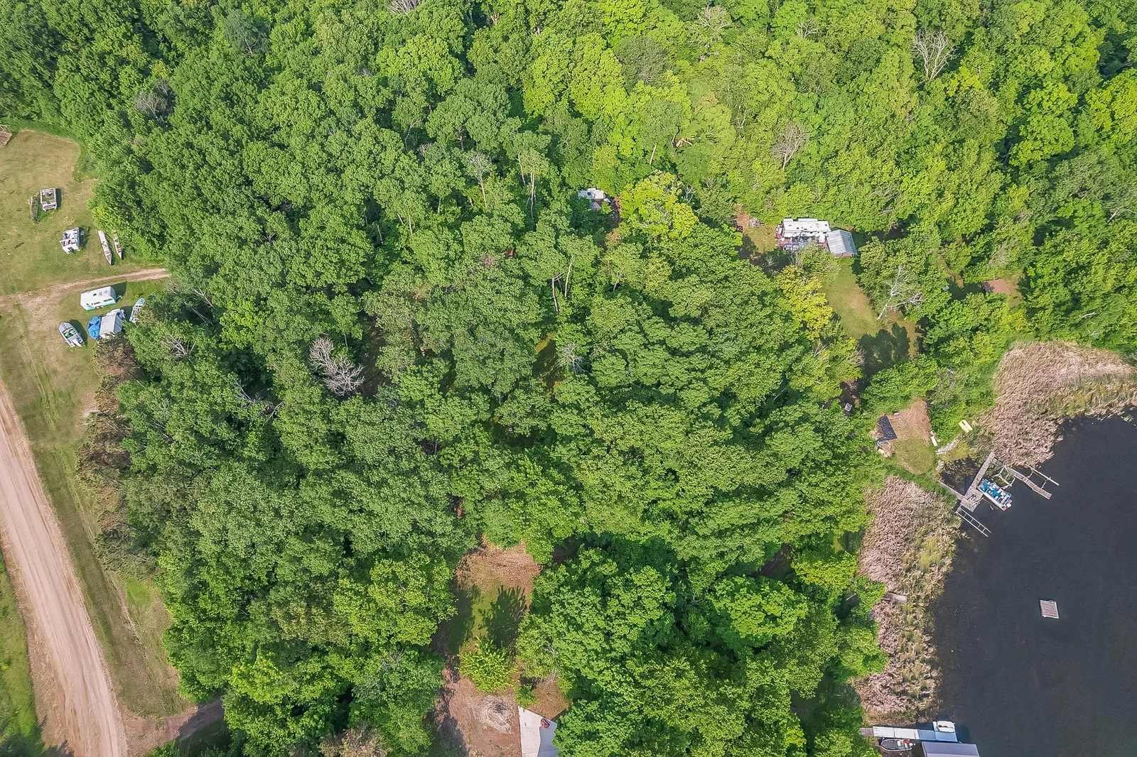 Drone1_9.jpg