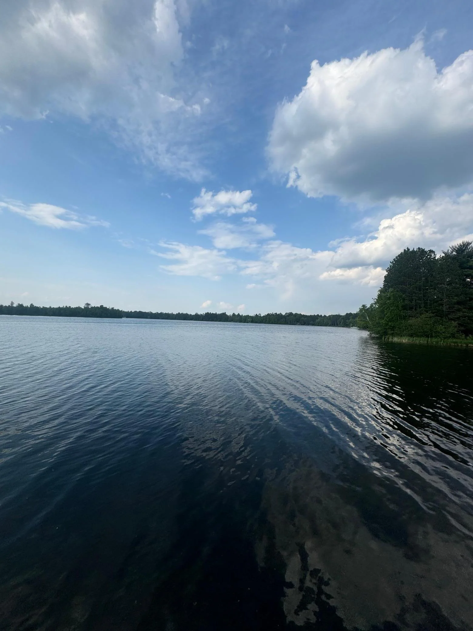 IMG_3144.jpeg