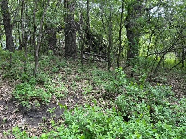 Thumbnail photo 9