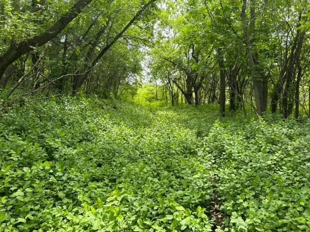Thumbnail photo 7